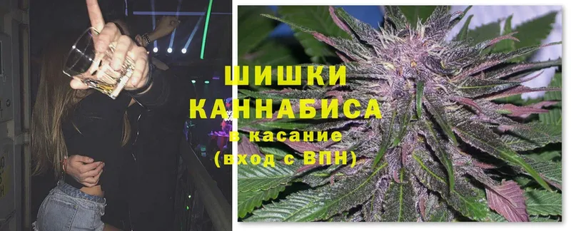 где можно купить наркотик  Звенигово  shop формула  Бошки марихуана OG Kush 